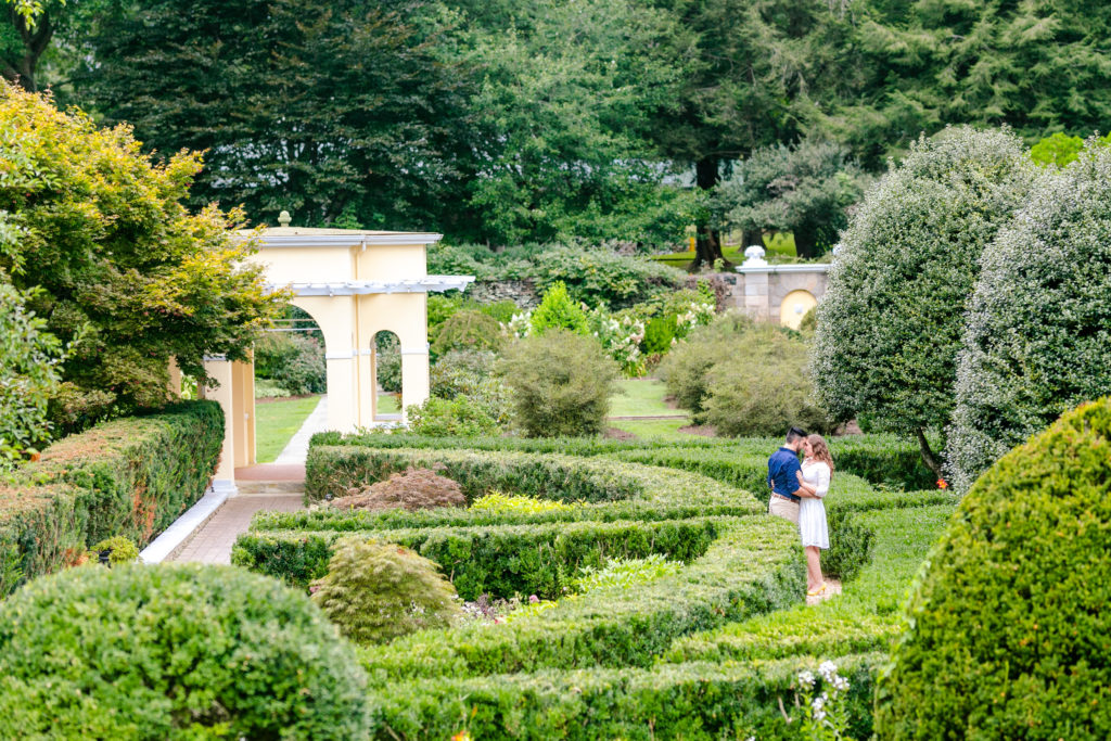 very wide shot of couple embracing in the middle of a garden maze 