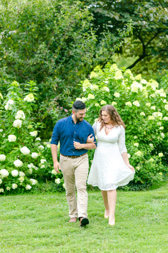 couple walking towards camera laughing in front of white hydrangea bushes