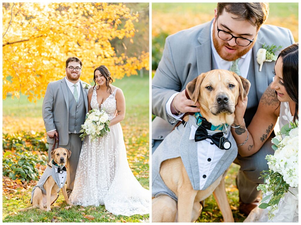 Sage and grey fall wedding at Sylvanside Farm in Purcellville, Virginia